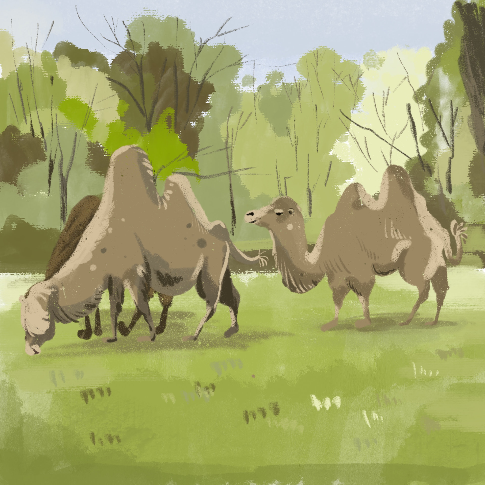 Working in the Zoo