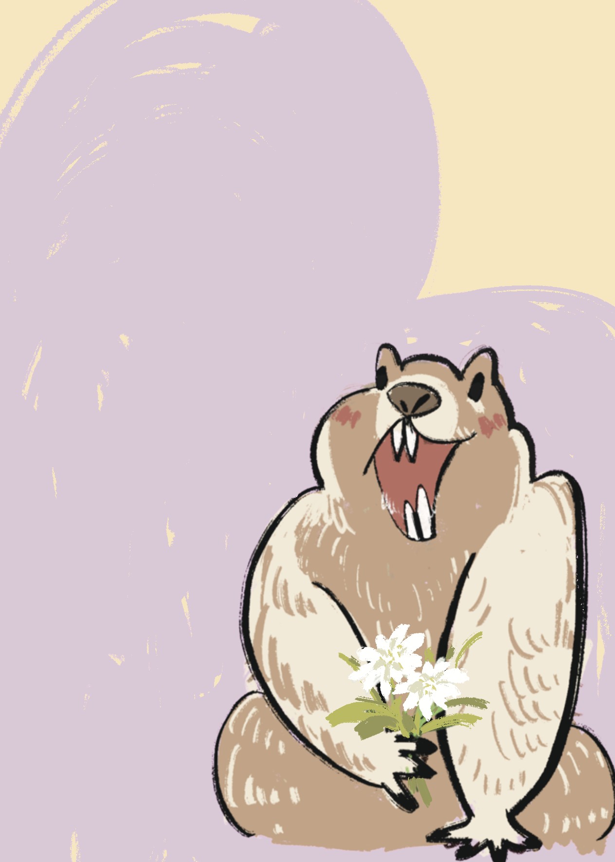 Edelweiss Marmot