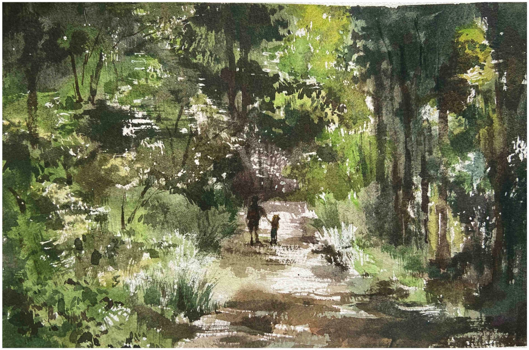 Summer in the Forest